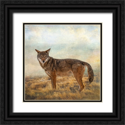 Interested Gaze Black Ornate Wood Framed Art Print with Double Matting by Parker, Kelley