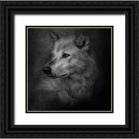 Lonely Soul Black Ornate Wood Framed Art Print with Double Matting by Parker, Kelley