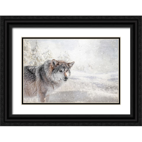 Fresh Snow Black Ornate Wood Framed Art Print with Double Matting by Parker, Kelley