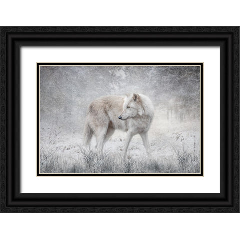 The Forest of Snow Black Ornate Wood Framed Art Print with Double Matting by Parker, Kelley
