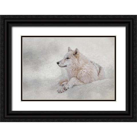 Snow Day Black Ornate Wood Framed Art Print with Double Matting by Parker, Kelley