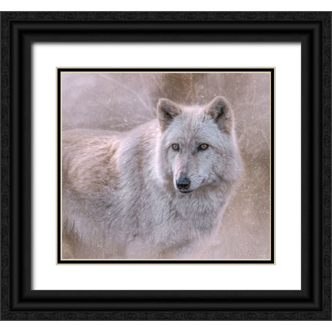 Spirit of the North Black Ornate Wood Framed Art Print with Double Matting by Parker, Kelley