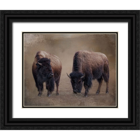 Bison Buddies Black Ornate Wood Framed Art Print with Double Matting by Parker, Kelley