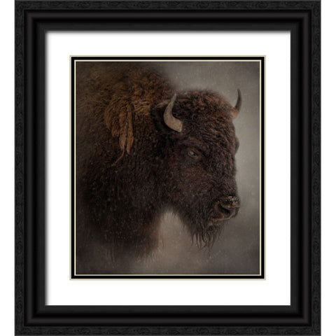 Deep Freeze Black Ornate Wood Framed Art Print with Double Matting by Parker, Kelley