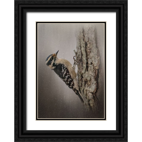 Little Carpenter Black Ornate Wood Framed Art Print with Double Matting by Parker, Kelley