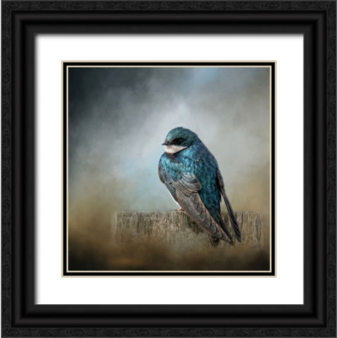 Pretty Boy Blue Black Ornate Wood Framed Art Print with Double Matting by Parker, Kelley