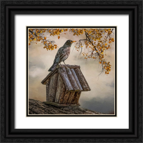 A Place to Perch Black Ornate Wood Framed Art Print with Double Matting by Parker, Kelley