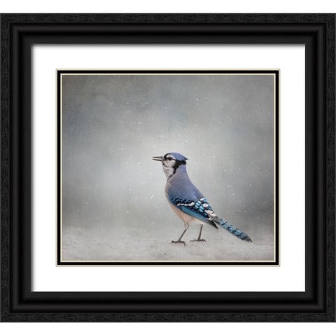 Frosty Morning Black Ornate Wood Framed Art Print with Double Matting by Parker, Kelley