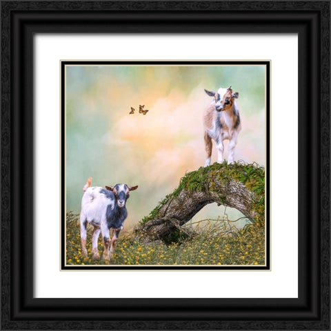 Getting a Better View Black Ornate Wood Framed Art Print with Double Matting by Parker, Kelley