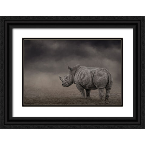 Shade of Gray Black Ornate Wood Framed Art Print with Double Matting by Parker, Kelley