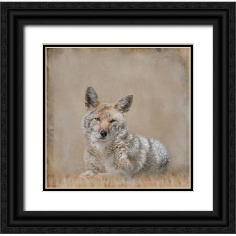 Perfect Pose Black Ornate Wood Framed Art Print with Double Matting by Parker, Kelley