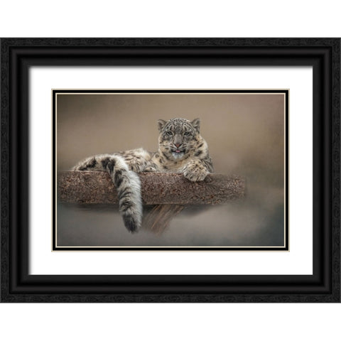 Lounging Around Black Ornate Wood Framed Art Print with Double Matting by Parker, Kelley