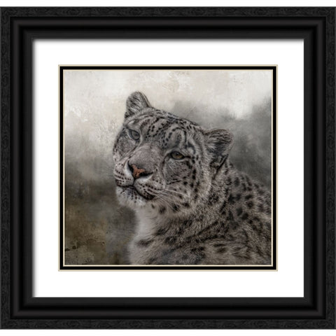 Face of the Wild Black Ornate Wood Framed Art Print with Double Matting by Parker, Kelley