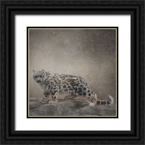 Brave Enough Black Ornate Wood Framed Art Print with Double Matting by Parker, Kelley