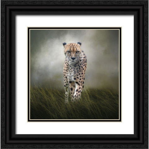 On the Move Black Ornate Wood Framed Art Print with Double Matting by Parker, Kelley