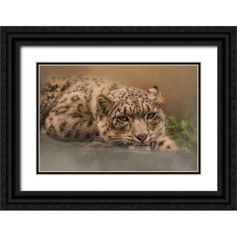 Taking It Easy Black Ornate Wood Framed Art Print with Double Matting by Parker, Kelley