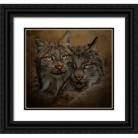 Soul Mates Black Ornate Wood Framed Art Print with Double Matting by Parker, Kelley