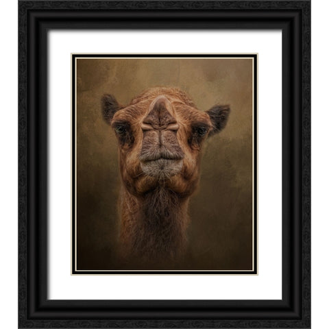 Desert Traveler Black Ornate Wood Framed Art Print with Double Matting by Parker, Kelley