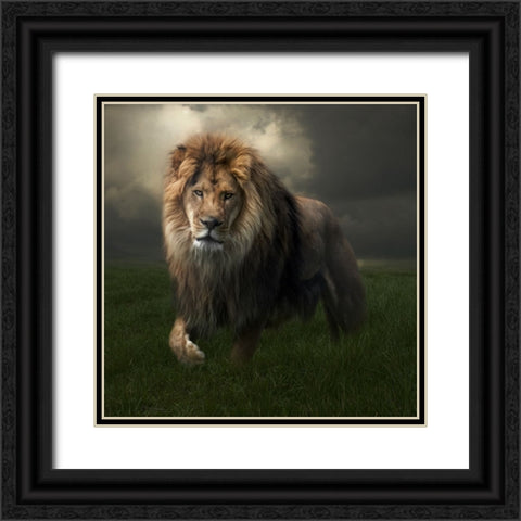 The True King Black Ornate Wood Framed Art Print with Double Matting by Parker, Kelley