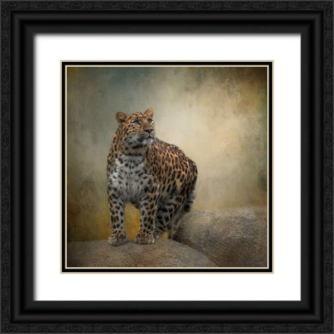 On the Lookout Black Ornate Wood Framed Art Print with Double Matting by Parker, Kelley