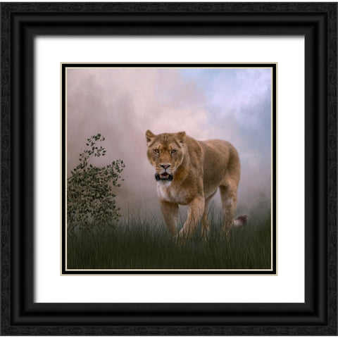 Daily Prowl Black Ornate Wood Framed Art Print with Double Matting by Parker, Kelley