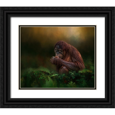 Little Man Black Ornate Wood Framed Art Print with Double Matting by Parker, Kelley