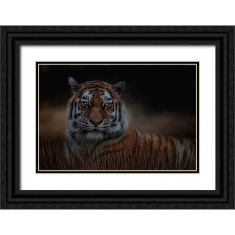 Alone in the Night Black Ornate Wood Framed Art Print with Double Matting by Parker, Kelley