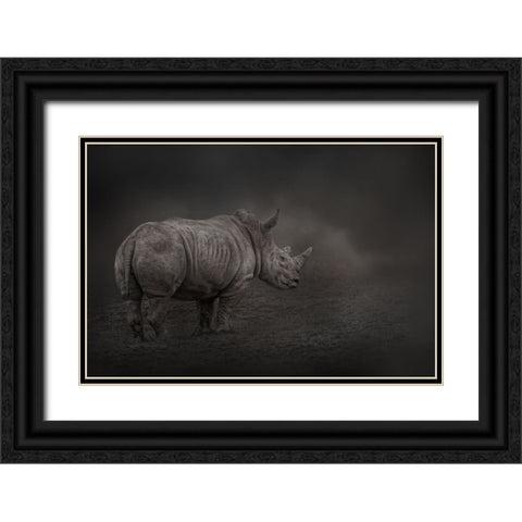 Rhino Land Black Ornate Wood Framed Art Print with Double Matting by Parker, Kelley