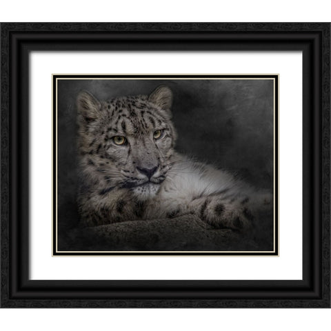 Lurking in the Shadows Black Ornate Wood Framed Art Print with Double Matting by Parker, Kelley