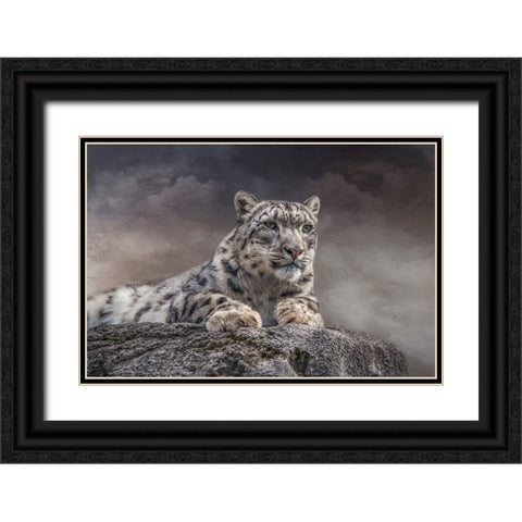 Spotted Beauty Black Ornate Wood Framed Art Print with Double Matting by Parker, Kelley