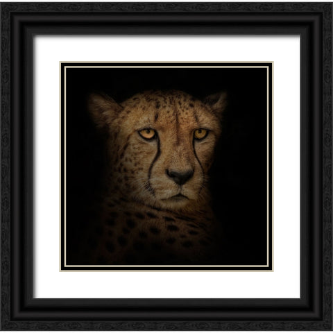 Out of the Shadows Black Ornate Wood Framed Art Print with Double Matting by Parker, Kelley