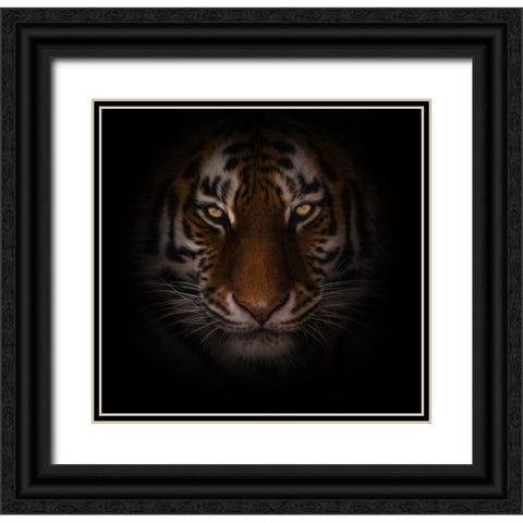 Eyes of Warning Black Ornate Wood Framed Art Print with Double Matting by Parker, Kelley