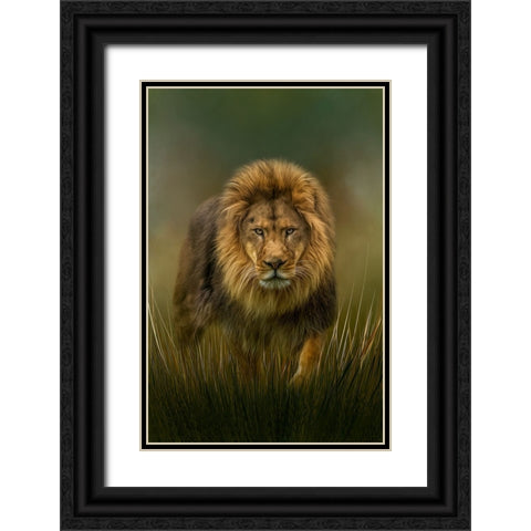 Prowling Black Ornate Wood Framed Art Print with Double Matting by Parker, Kelley