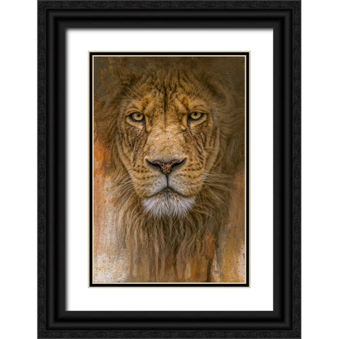 Heart of the Lion Black Ornate Wood Framed Art Print with Double Matting by Parker, Kelley