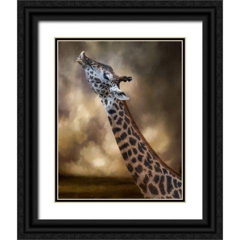 Stretch Black Ornate Wood Framed Art Print with Double Matting by Parker, Kelley