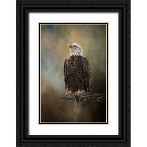Skyward Spirit Black Ornate Wood Framed Art Print with Double Matting by Parker, Kelley