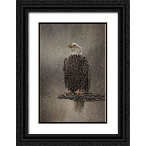Eye on the Storm Black Ornate Wood Framed Art Print with Double Matting by Parker, Kelley