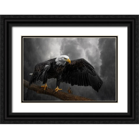 Storm Compassion Black Ornate Wood Framed Art Print with Double Matting by Parker, Kelley