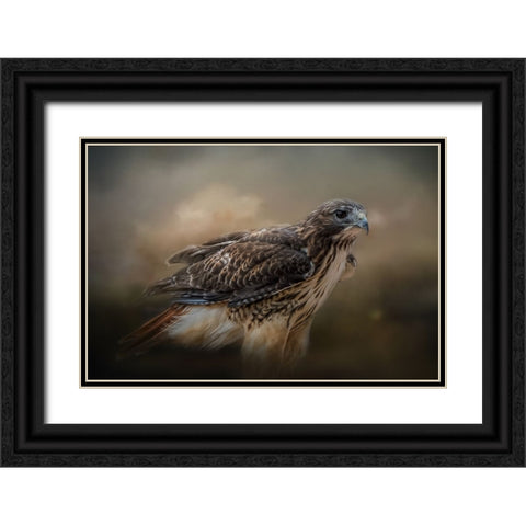 Chase the Wind Black Ornate Wood Framed Art Print with Double Matting by Parker, Kelley