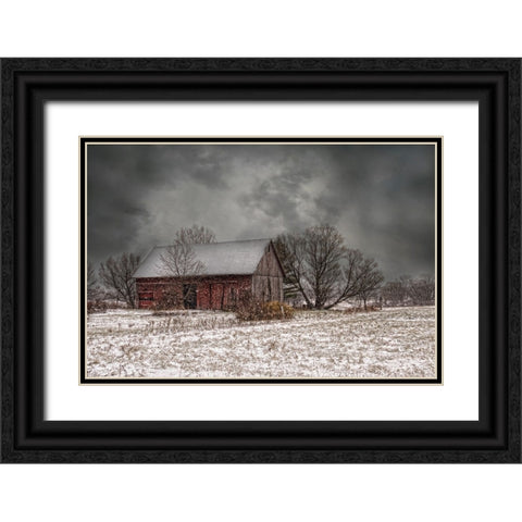 Weathering Winter Black Ornate Wood Framed Art Print with Double Matting by Parker, Kelley