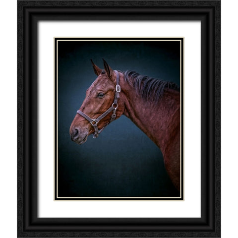 Wild Soul Black Ornate Wood Framed Art Print with Double Matting by Parker, Kelley