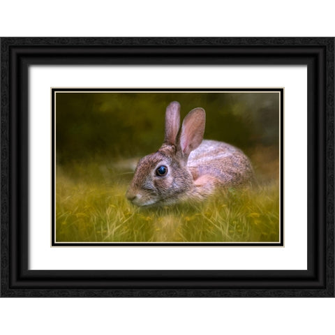 Grassy Bed Black Ornate Wood Framed Art Print with Double Matting by Parker, Kelley