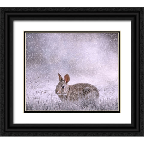 Snow Hopper Black Ornate Wood Framed Art Print with Double Matting by Parker, Kelley