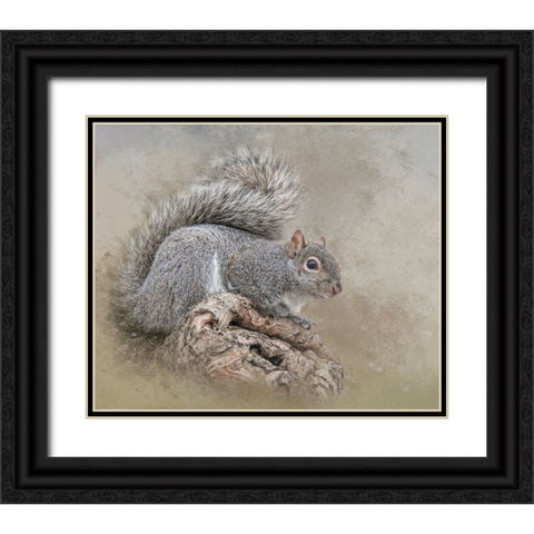 The Collector Black Ornate Wood Framed Art Print with Double Matting by Parker, Kelley