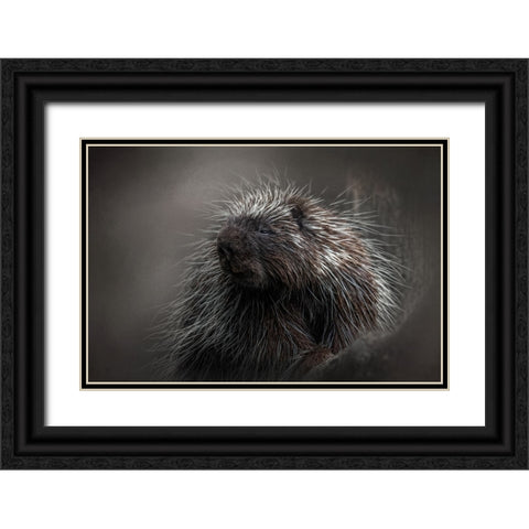 Prickly Black Ornate Wood Framed Art Print with Double Matting by Parker, Kelley