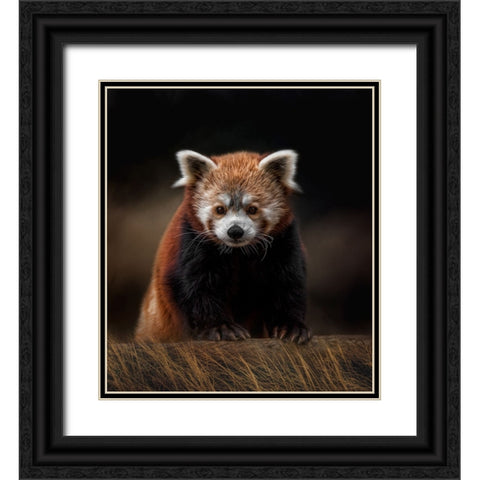 The Explorer Black Ornate Wood Framed Art Print with Double Matting by Parker, Kelley