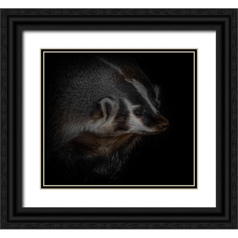 Sir Badger Black Ornate Wood Framed Art Print with Double Matting by Parker, Kelley