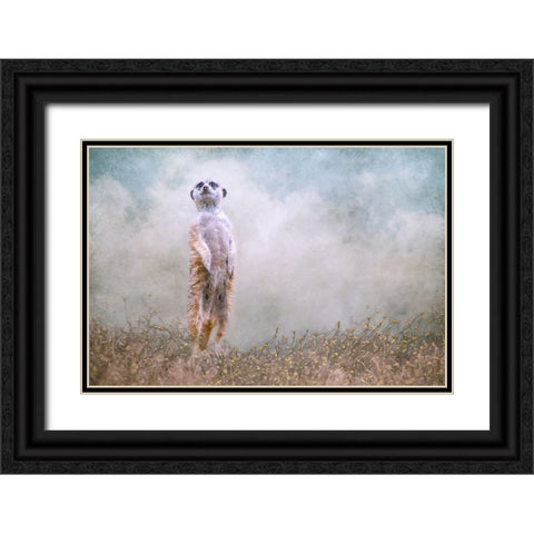 Skys the Limit Black Ornate Wood Framed Art Print with Double Matting by Parker, Kelley