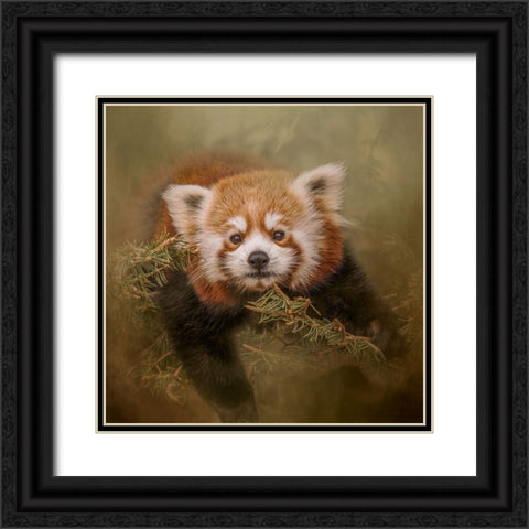 Hanging Out Black Ornate Wood Framed Art Print with Double Matting by Parker, Kelley