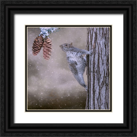 Eye on the Prize Black Ornate Wood Framed Art Print with Double Matting by Parker, Kelley